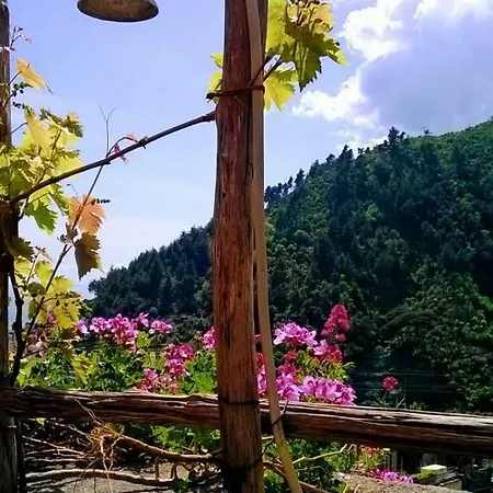 Il Casale Della Nonna